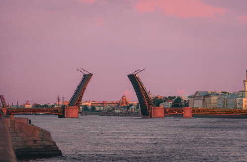 Дворцовый мост с посещением механизма (онлайн)